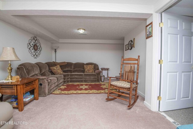 899 Park Ln, Andersonville, TN 37705 - photo 32