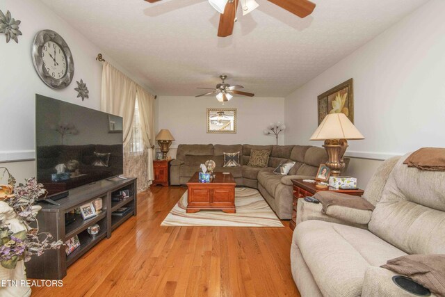 899 Park Ln, Andersonville, TN 37705 - photo 7