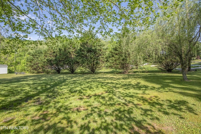 899 Park Ln, Andersonville, TN 37705 - photo 42