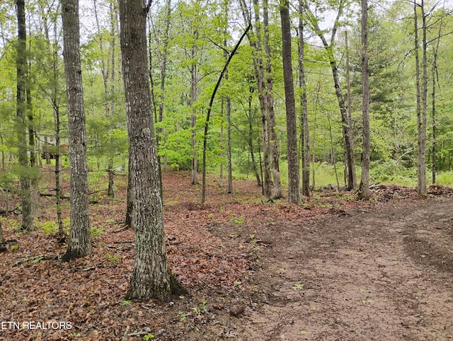view of local wilderness featuring a forest view