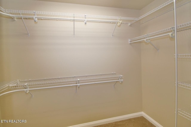 spacious closet with carpet