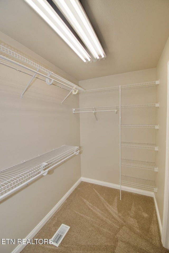 spacious closet with carpet and visible vents