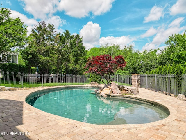 382 Axton Dr, Knoxville, TN 37934 - photo 55