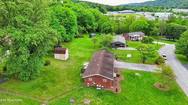 bird's eye view