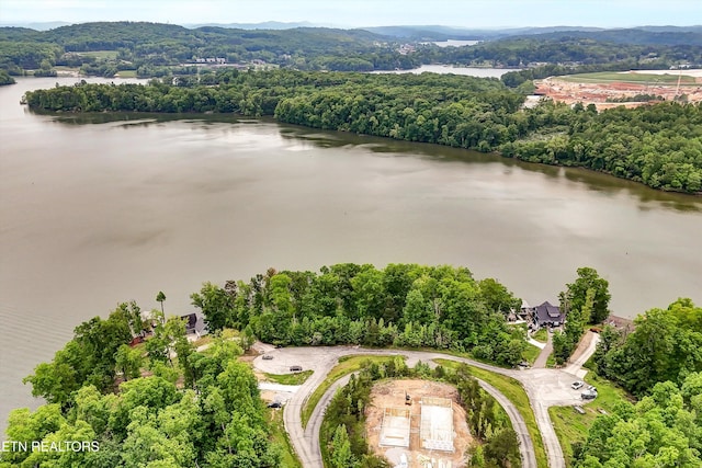 Emory Pointe Ln, Harriman, TN 37748
