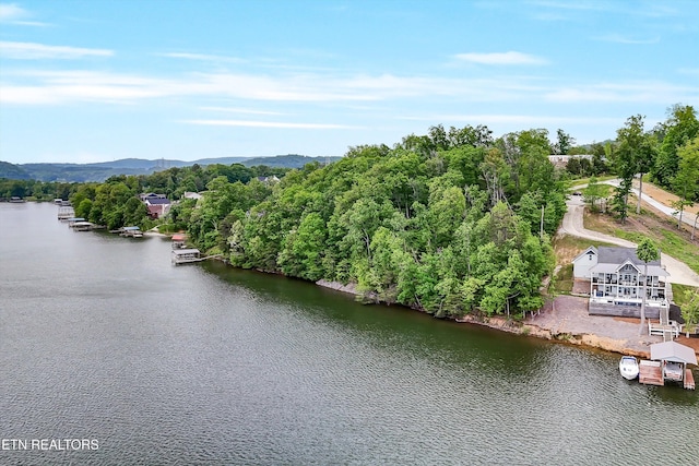 Emory Pointe Ln, Harriman, TN 37748
