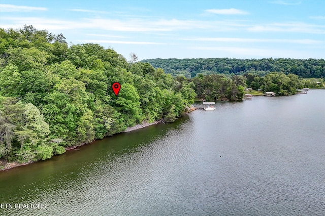 Emory Pointe Ln, Harriman, TN 37748