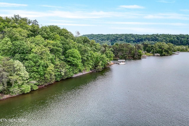 Emory Pointe Ln, Harriman, TN 37748