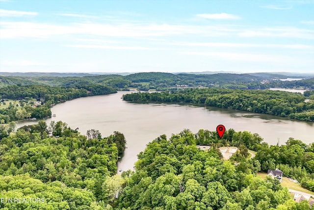 Emory Pointe Ln, Harriman, TN 37748