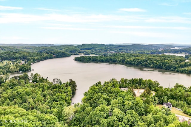 Emory Pointe Ln, Harriman, TN 37748