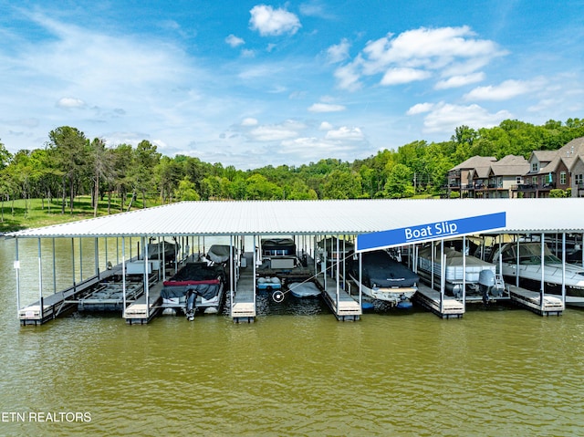 3132 Gazebo Point Way, Knoxville, TN 37920 - photo 2