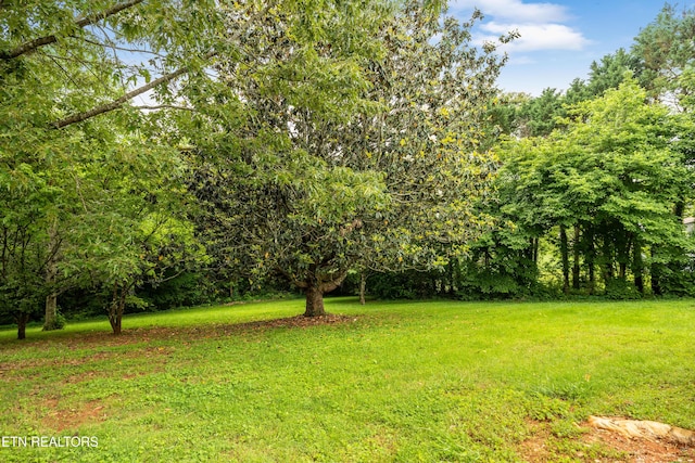 1813 Rosemont Cir, Louisville, TN 37777 - photo 7