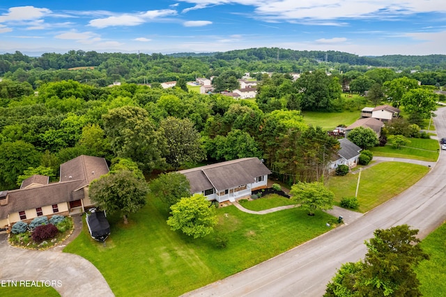 1813 Rosemont Cir, Louisville, TN 37777 - photo 41