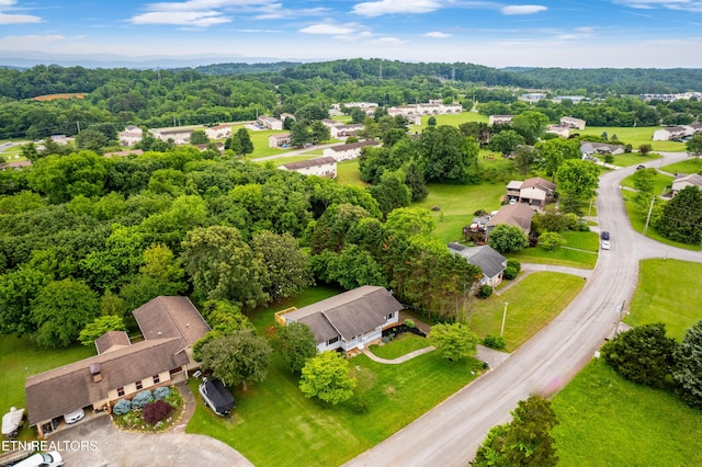 1813 Rosemont Cir, Louisville, TN 37777 - photo 43