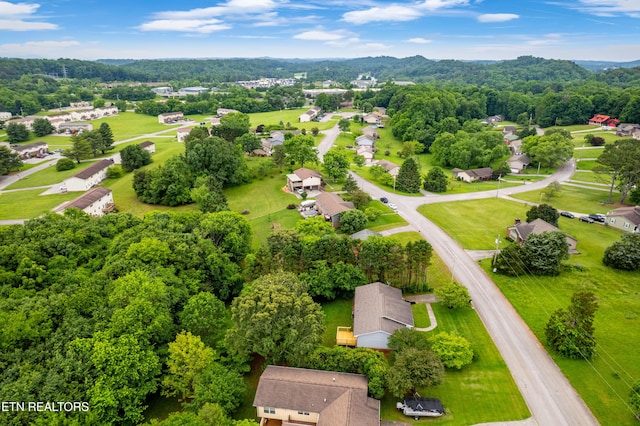 1813 Rosemont Cir, Louisville, TN 37777 - photo 48