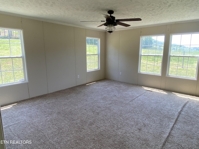 unfurnished room with crown molding, a textured ceiling, a ceiling fan, and carpet