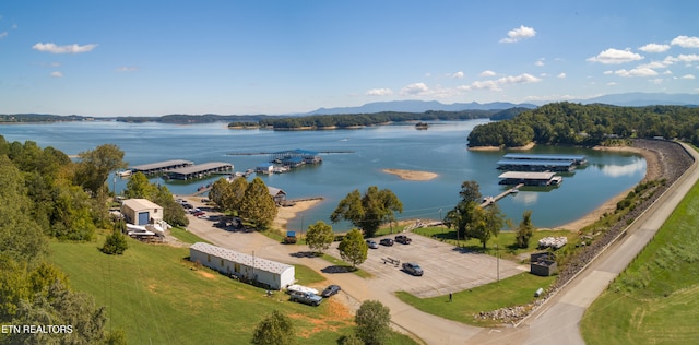 936 Buck Way, Sevierville, TN 37876 - bird's eye view featuring a water and mountain view