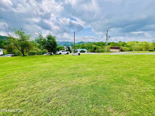 view of yard with a detached garage