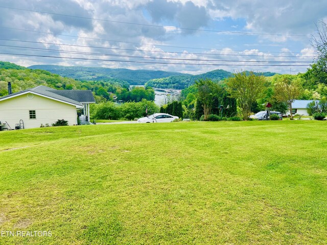 view of yard featuring a mountain view