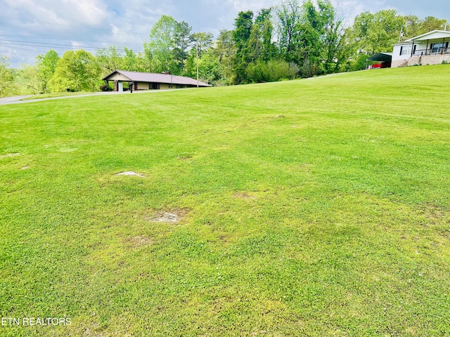 view of yard with a detached carport