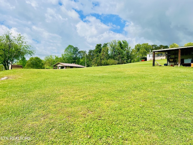 view of yard featuring an outbuilding and an outdoor structure
