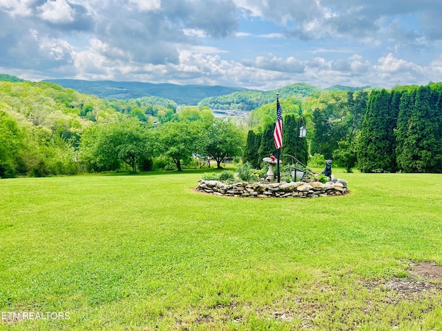 view of yard featuring a mountain view