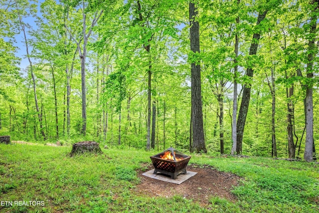 view of yard featuring an outdoor fire pit