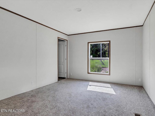 830 Fish Hook Rd, Mosheim, TN 37818 - photo 14