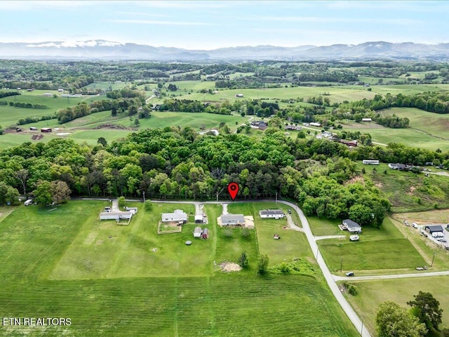 830 Fish Hook Rd, Mosheim, TN 37818 - photo 23