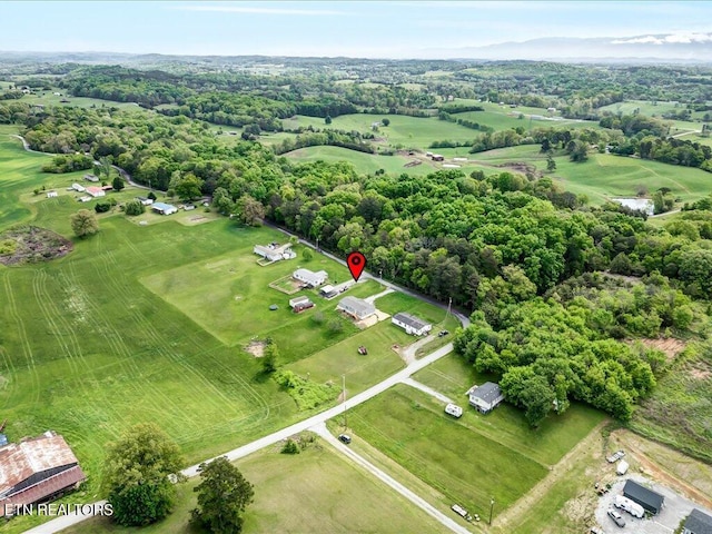 830 Fish Hook Rd, Mosheim, TN 37818 - photo 24