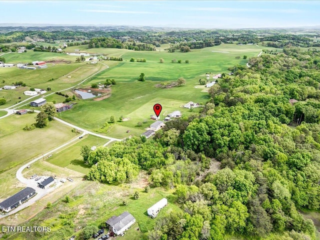 830 Fish Hook Rd, Mosheim, TN 37818 - photo 25