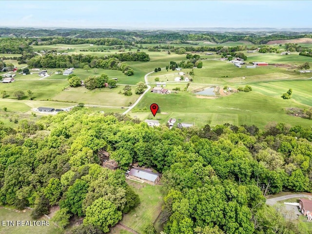 830 Fish Hook Rd, Mosheim, TN 37818 - photo 26