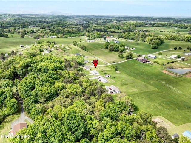 830 Fish Hook Rd, Mosheim, TN 37818 - photo 27