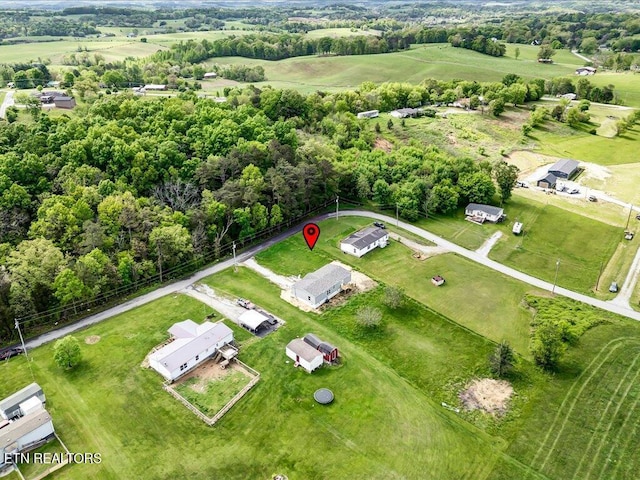 830 Fish Hook Rd, Mosheim, TN 37818 - photo 29
