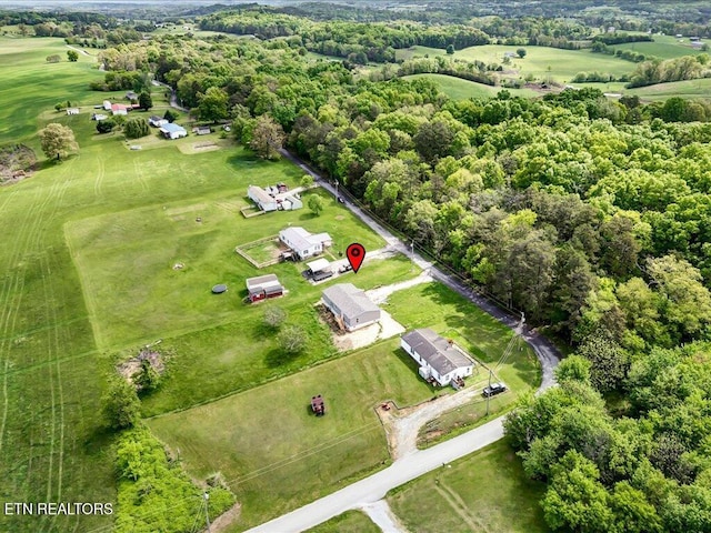 830 Fish Hook Rd, Mosheim, TN 37818 - photo 30