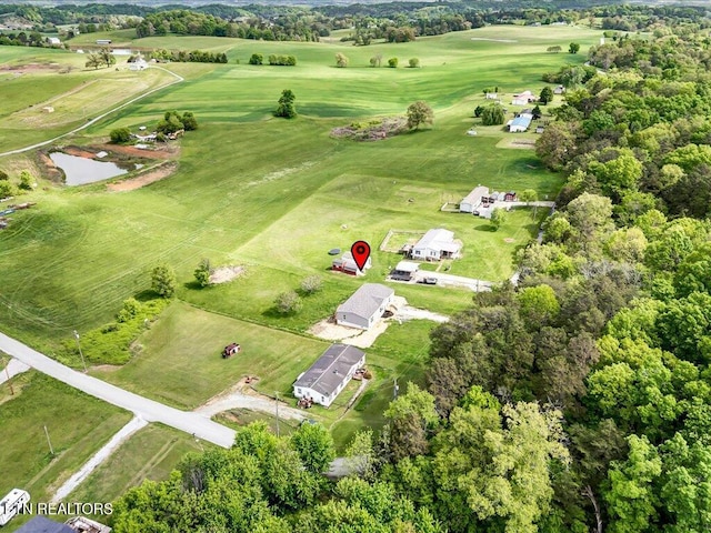830 Fish Hook Rd, Mosheim, TN 37818 - photo 31