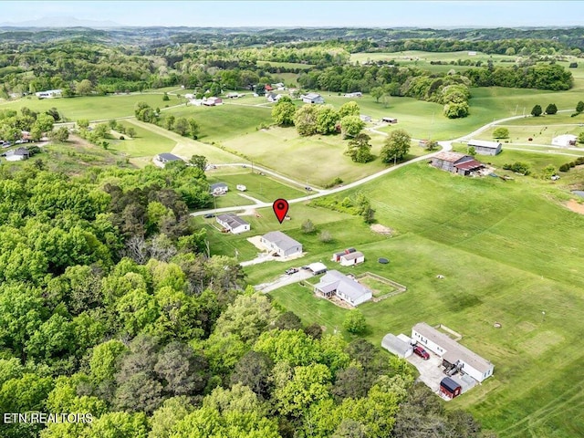 830 Fish Hook Rd, Mosheim, TN 37818 - photo 32