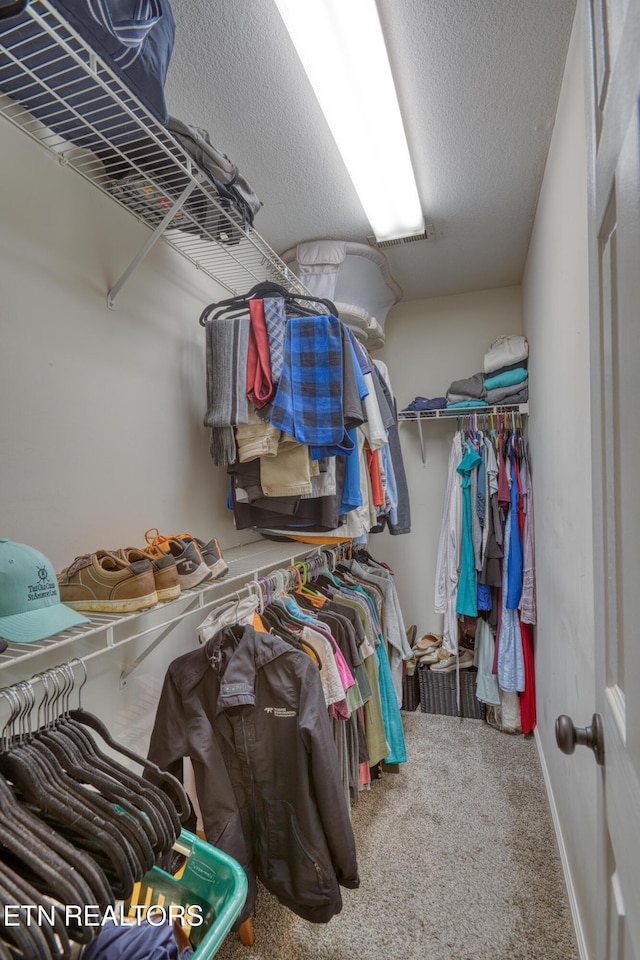 spacious closet with carpet