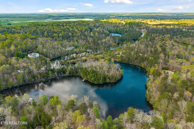 aerial view featuring a water view and a view of trees