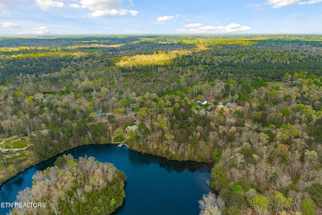 birds eye view of property featuring a water view and a forest view