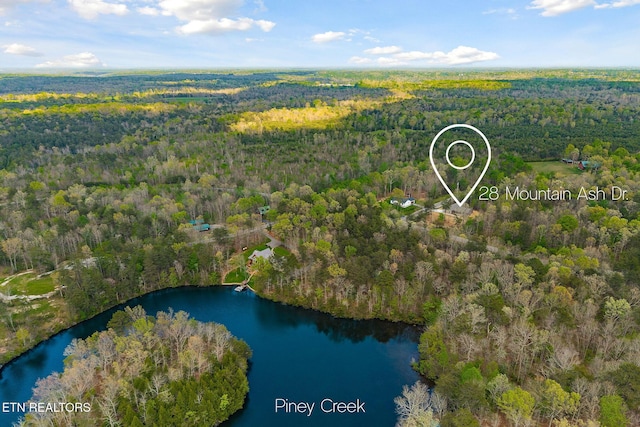 bird's eye view featuring a water view and a forest view