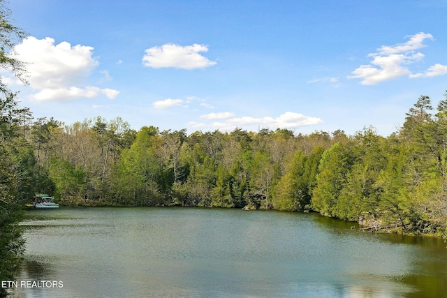 water view with a view of trees