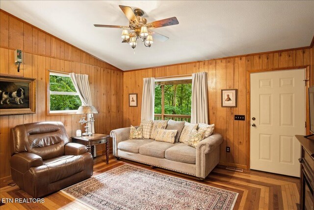 3009 Winding Way, Cosby, TN 37722 - living area featuring lofted ceiling, healthy amount of natural light, a ceiling fan, and wood walls