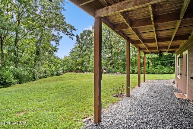 3009 Winding Way, Cosby, TN 37722 - view of green lawn