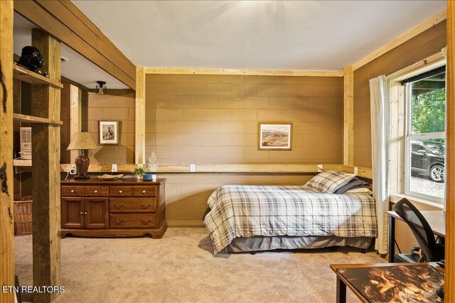 3009 Winding Way, Cosby, TN 37722 - bedroom featuring concrete block wall and carpet floors
