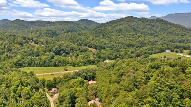 3009 Winding Way, Cosby, TN 37722 - mountain view with a heavily wooded area