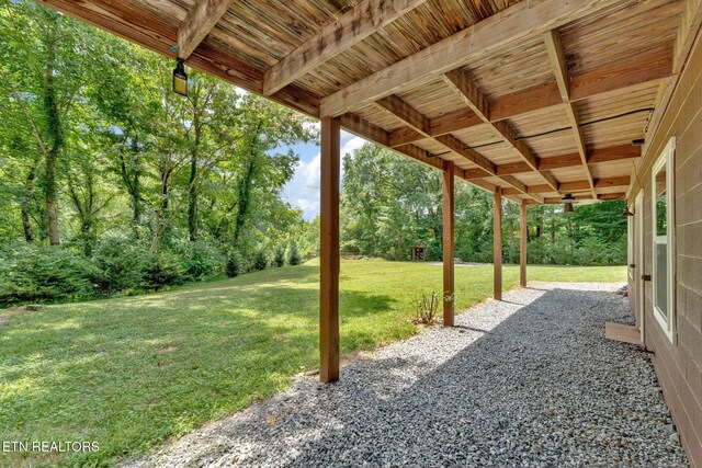 3009 Winding Way, Cosby, TN 37722 - view of grassy yard featuring a patio, view of wooded area, and a carport