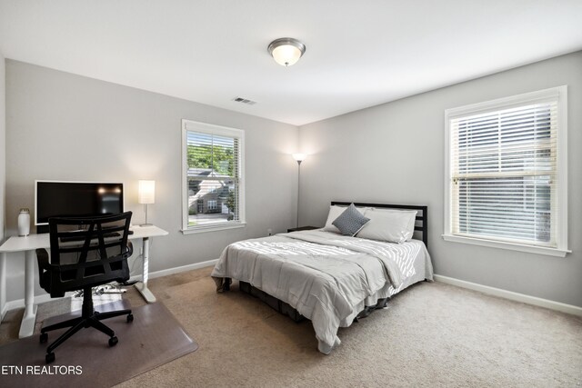 12183 Inglecrest Ln, Knoxville, TN 37934 - photo 21