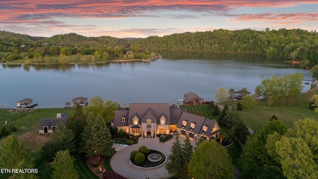 drone / aerial view with a water view and a forest view