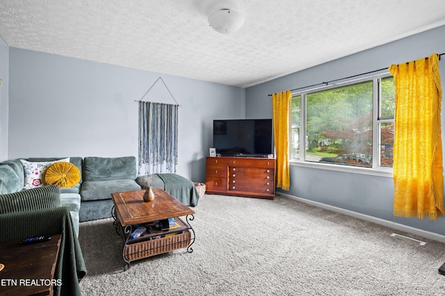 6531 Cedar Bend Rd, Knoxville, TN 37918 - photo 9